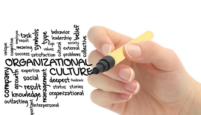 Organizational Culture