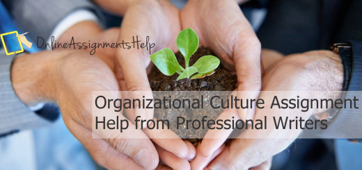 Organizational-Culture-Assignment-Help