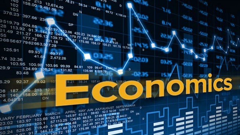 assignmentexpert.com economics