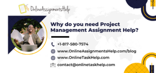 Why do you need Project Management Assignment Help?