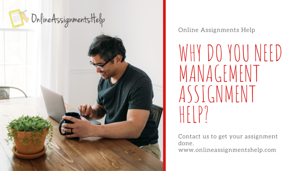 Why do you need Management Assignment Help?