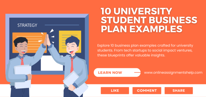 10 University Student Business Plan Examples