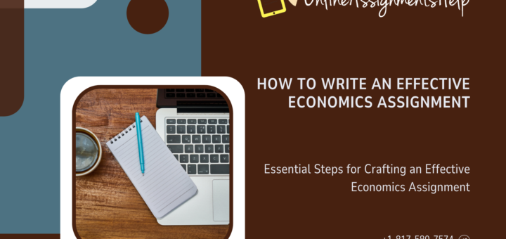 Essential Steps for Crafting an Effective Economics Assignment